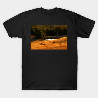 The Golden Hour T-Shirt